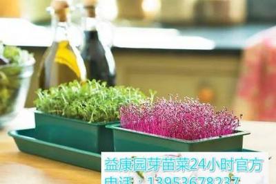 多媒體技術研發(fā) 驅(qū)動數(shù)字時代創(chuàng)新與應用的新引擎