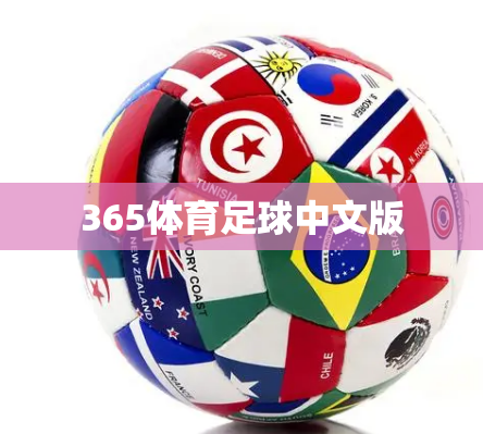 365体育足球中文版